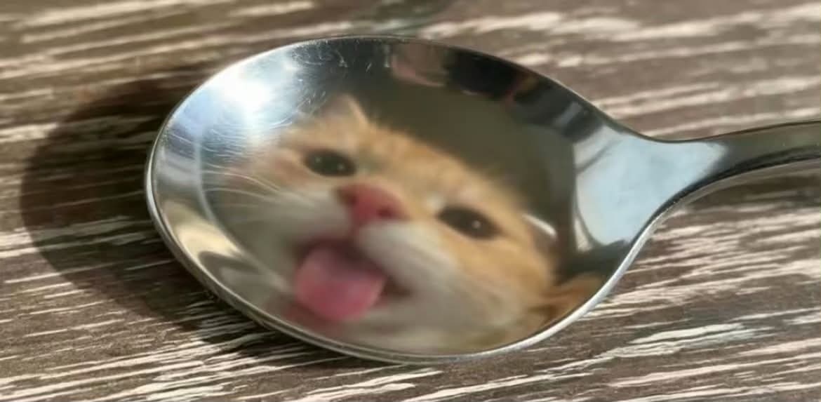- 