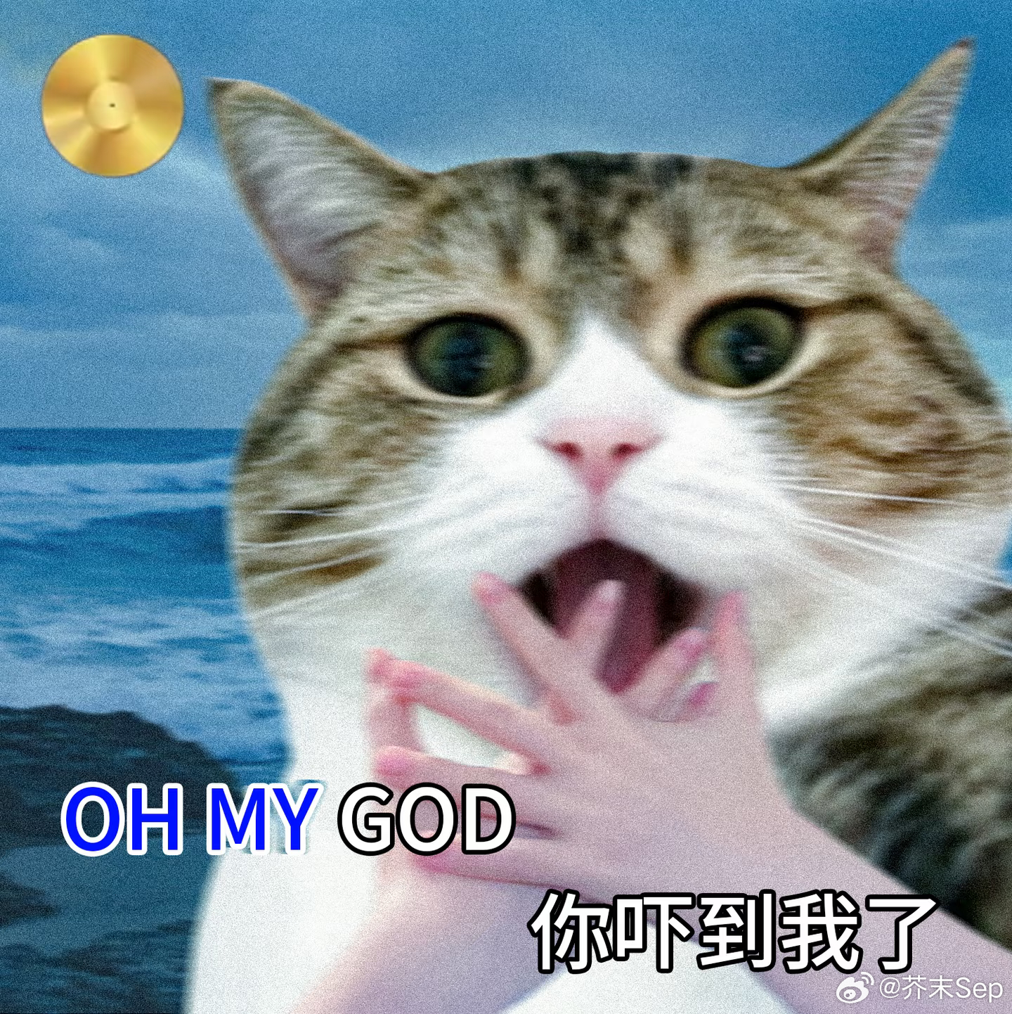 最适合VibeCoding之人换位思考一下前台，突然收到这么一大段长篇需求，头都