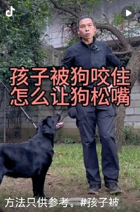 一位训狗20多年的老师傅说：遇到恶犬扑来，千万别用脚踢，那只会让疯狗越咬越狠，记