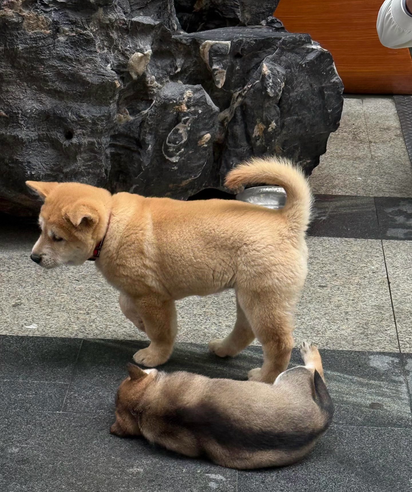 今天你们过的怎么样？ 