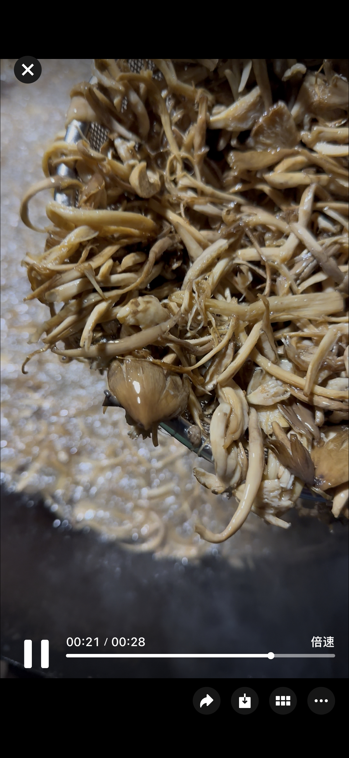 火把节假期期间：8月7日—8月14日火把-油鸡枞 ：85折/瓶/500g店铺已改