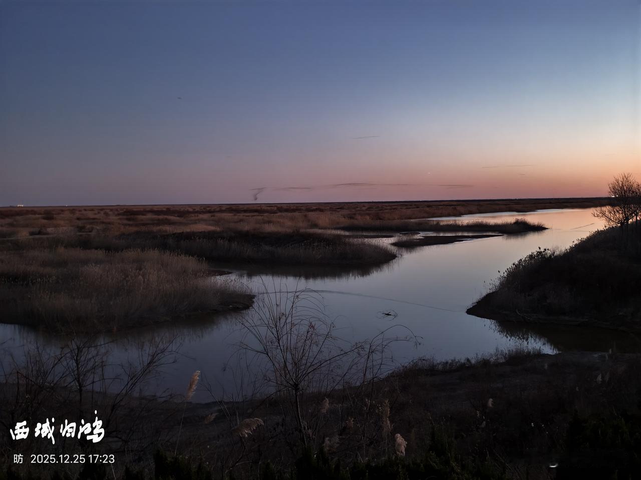 分享一下你随手拍下的照片东营湿地风光