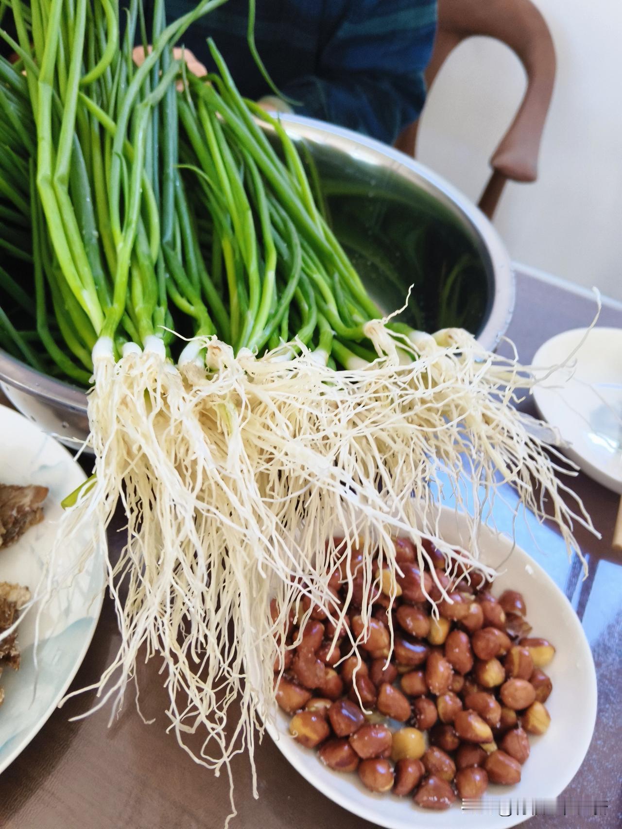 春天几大鲜，你吃过几个？春天的韭菜，春韭赛金，夜雨春韭，鲜的一激灵。
春天的荠菜