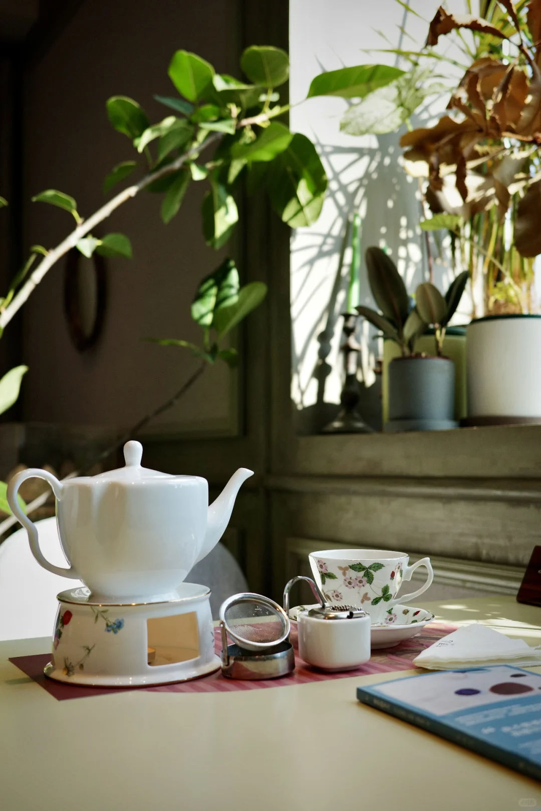 爱上海的十万个理由｜有茶 有书 有花