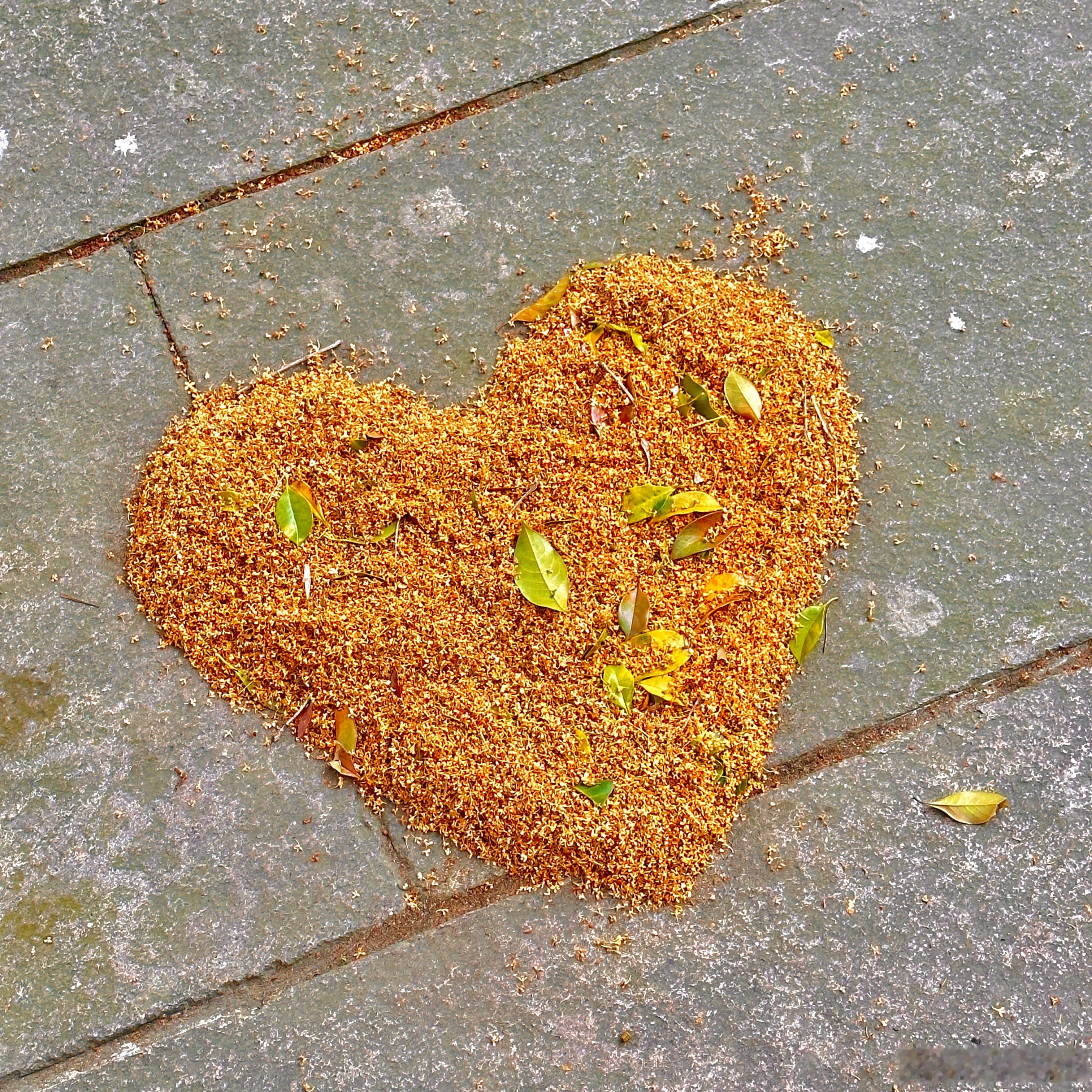 把八月的故事妥帖收藏，静待秋来🧡💛 ​​​