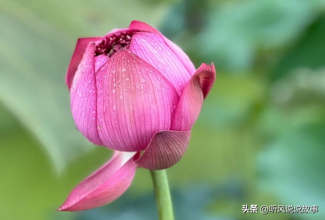 ❤️至暗谷底，绝境无依
 
人生最极致的苦，从来不是一时的失意，而是一无所有、无