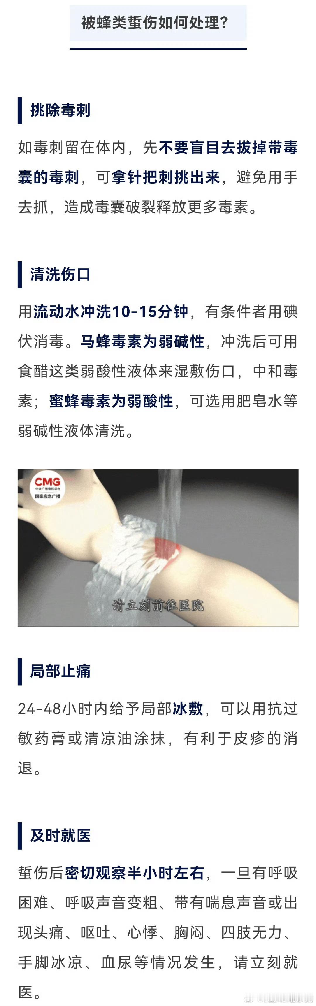 福建一男子眼睛不慎被马蜂蜇伤瞬间失明 高发期！男子被马蜂蜇伤后死亡！ 