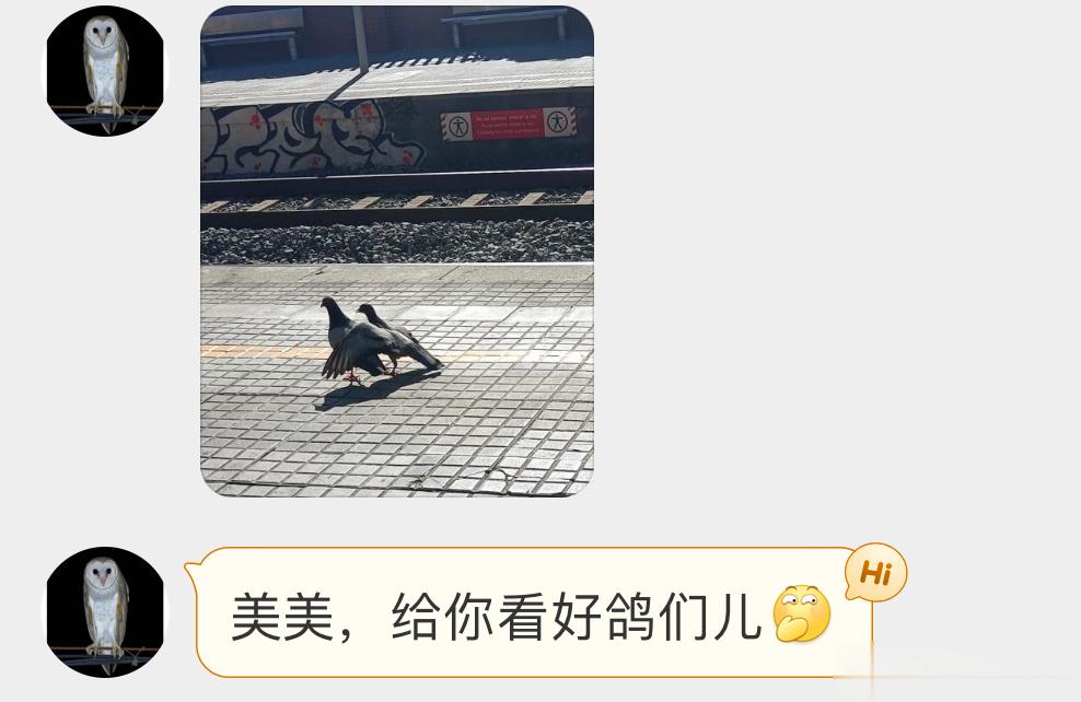 勾肩搭背的咕咕哈哈 ​​​