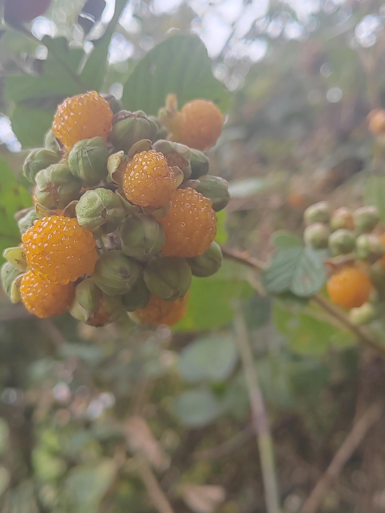 分享一下你随手拍下的照片