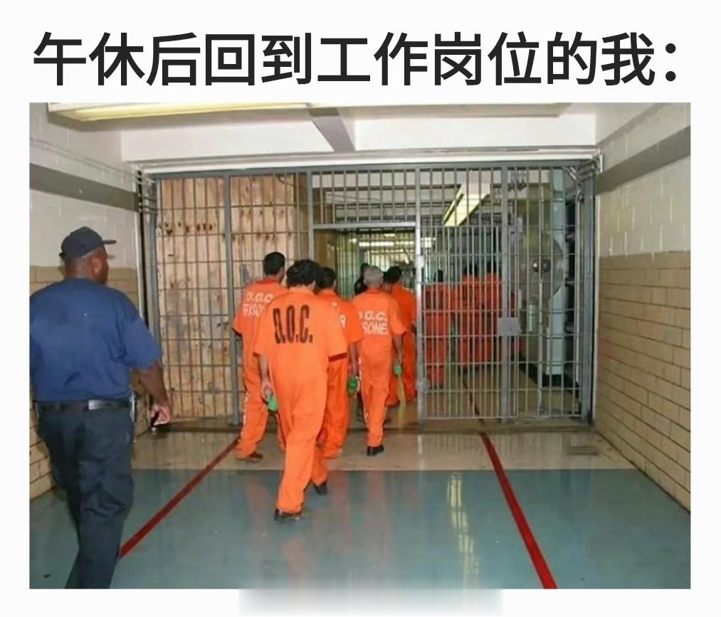 午休后回到工作岗位的我belike： ​​​