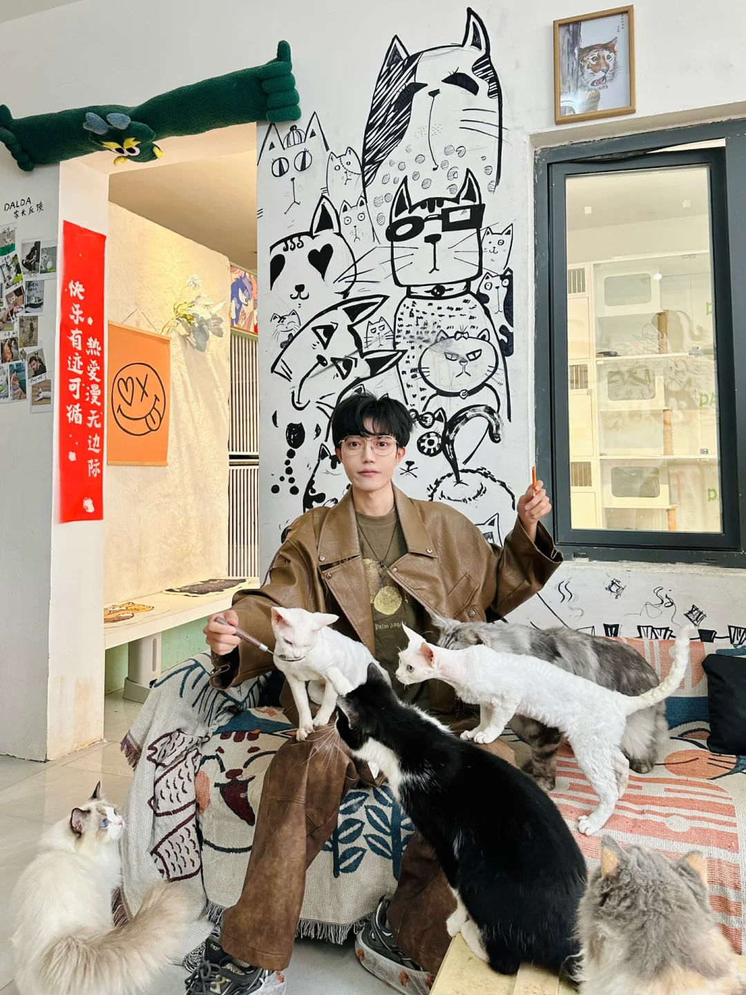 呼和浩特探店｜达拉德猫院是撸猫天堂吧😭