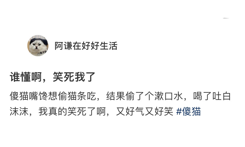 小猫想偷猫条偷成了漱口水[允悲]看得出来被抓包以后很生气了 ​​​
