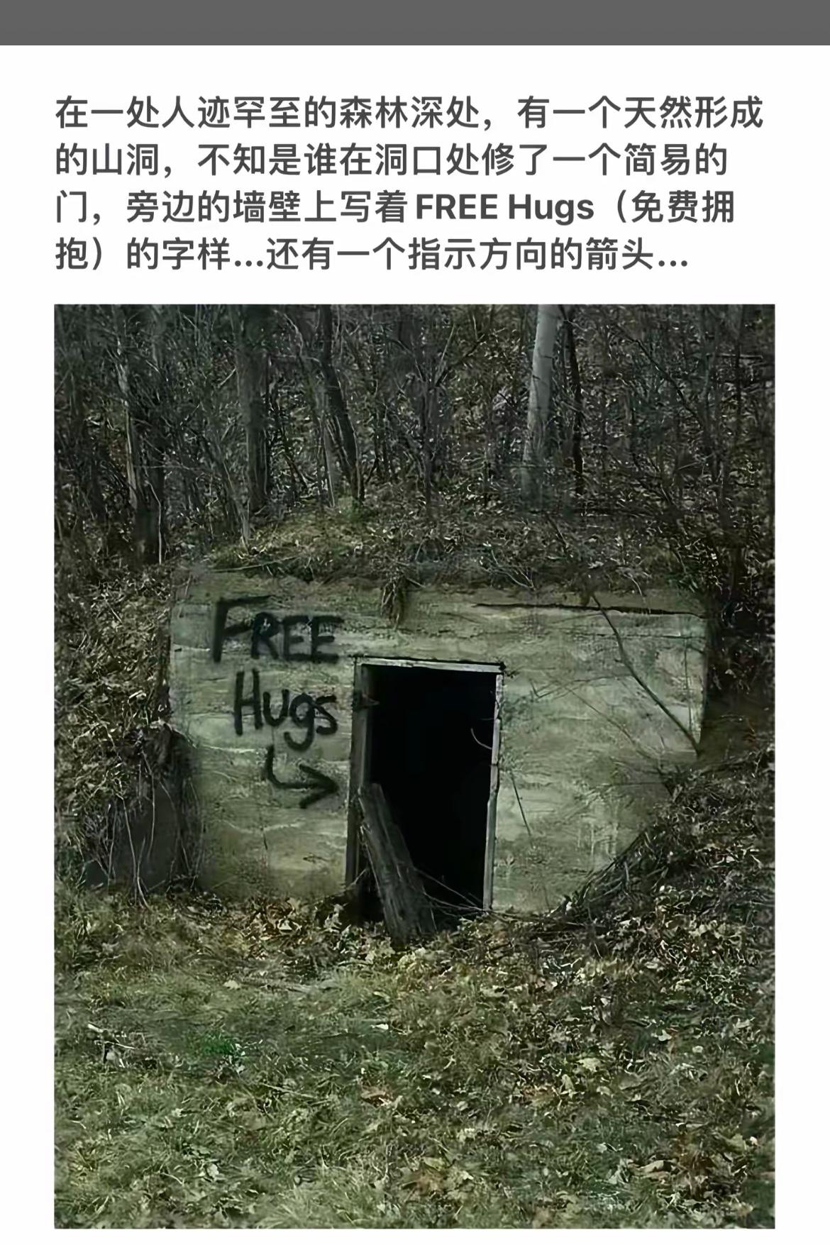 森林深处的神秘“免费拥抱”小屋，等你来拥抱！🌳🤗