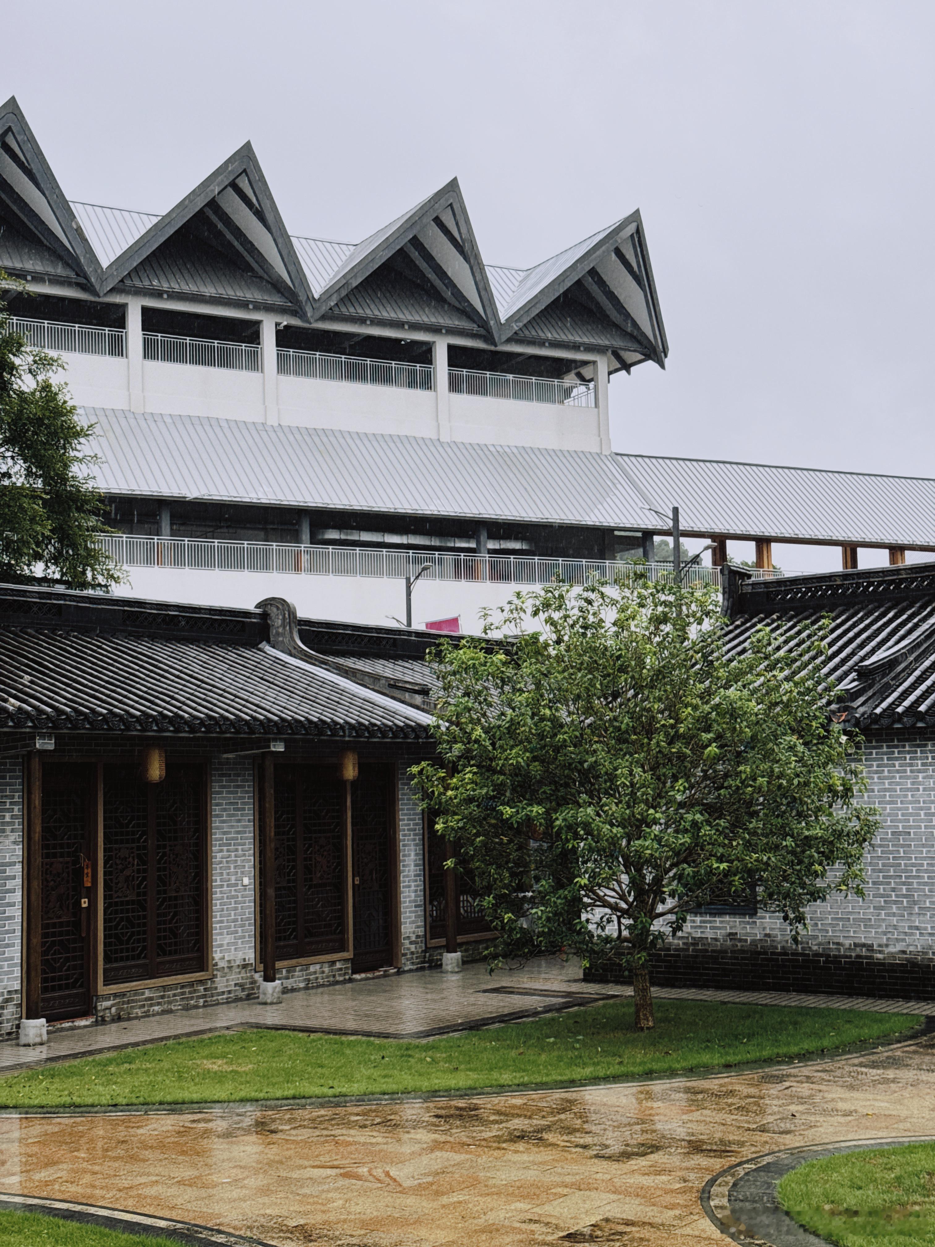 又是台风天感觉今年台风和雨水真多下周还有个大台风🌀  ​​​