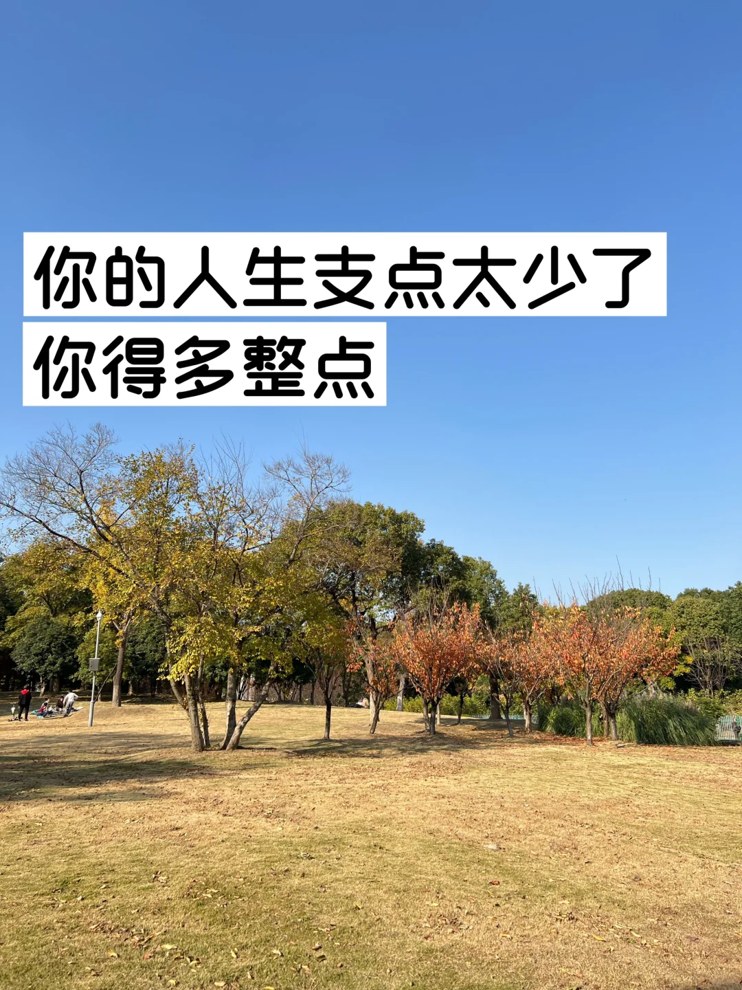 你的人生支点太少了，你得多整点！