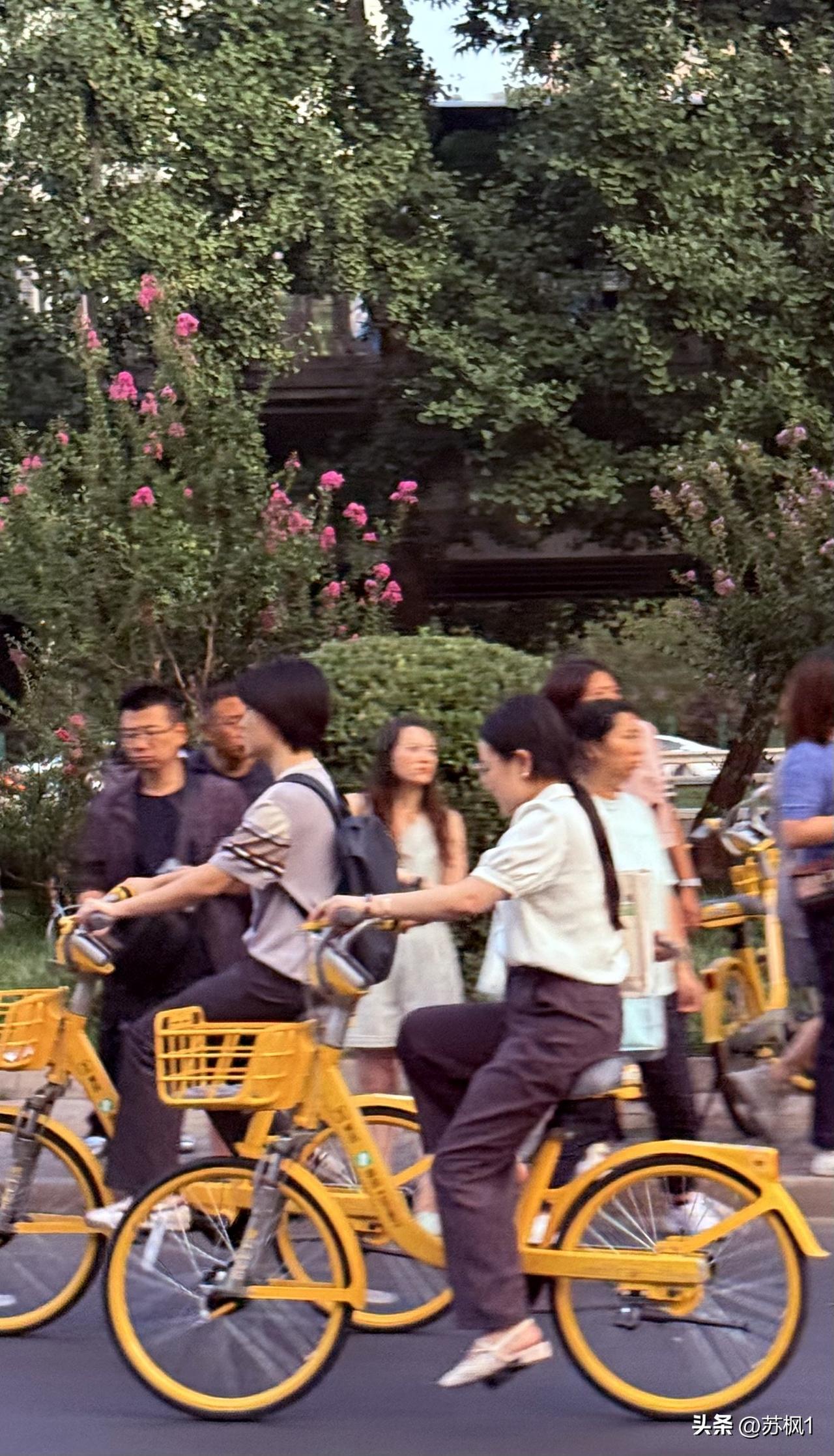 随拍记录北京生活当你用手机透过车窗拍摄这熙熙攘攘街景时，仿佛你不是在人间，车窗玻