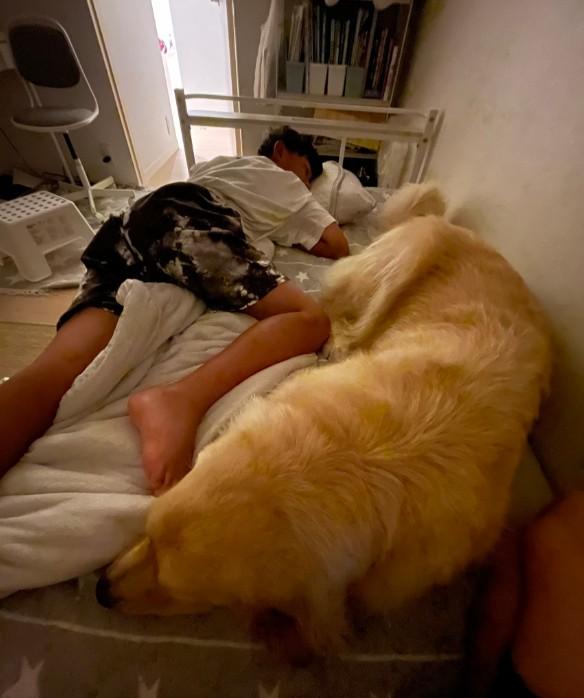 现代不少人把毛小孩视为家中的一份子，会允许宠物跑到床上跟家人一起睡觉。日本有网友
