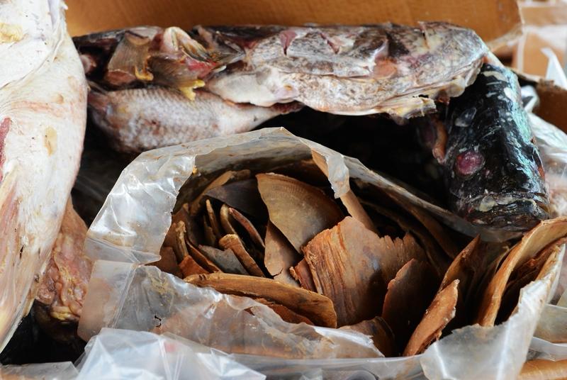 菜市场里的‘齐物论’：癌症阿姨在鱼摊前悟透生死
被诊晚期胃癌的王姨坚持每天卖鱼，
