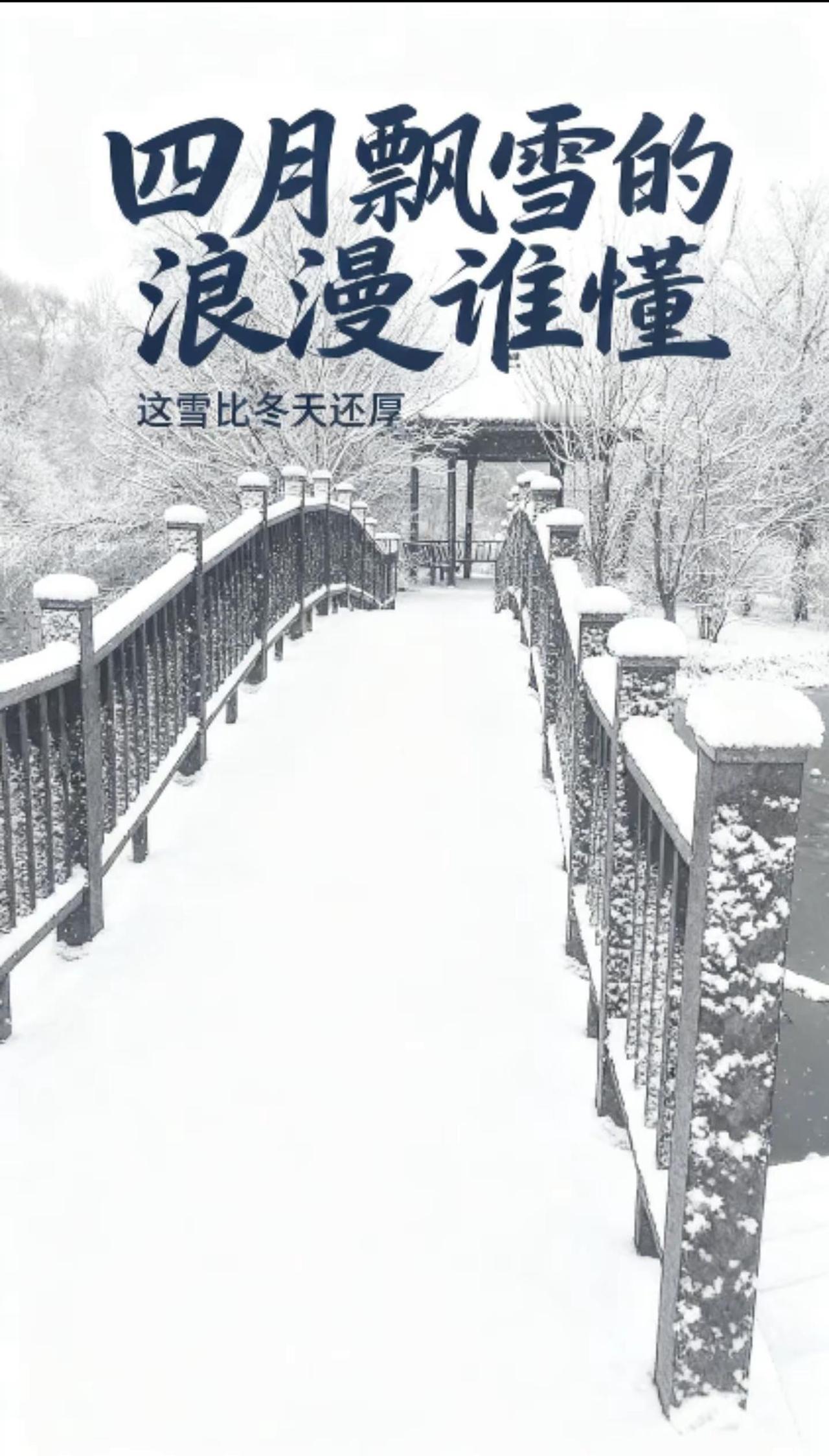 春雪更具味道！雪 银装素裹 又一场雪