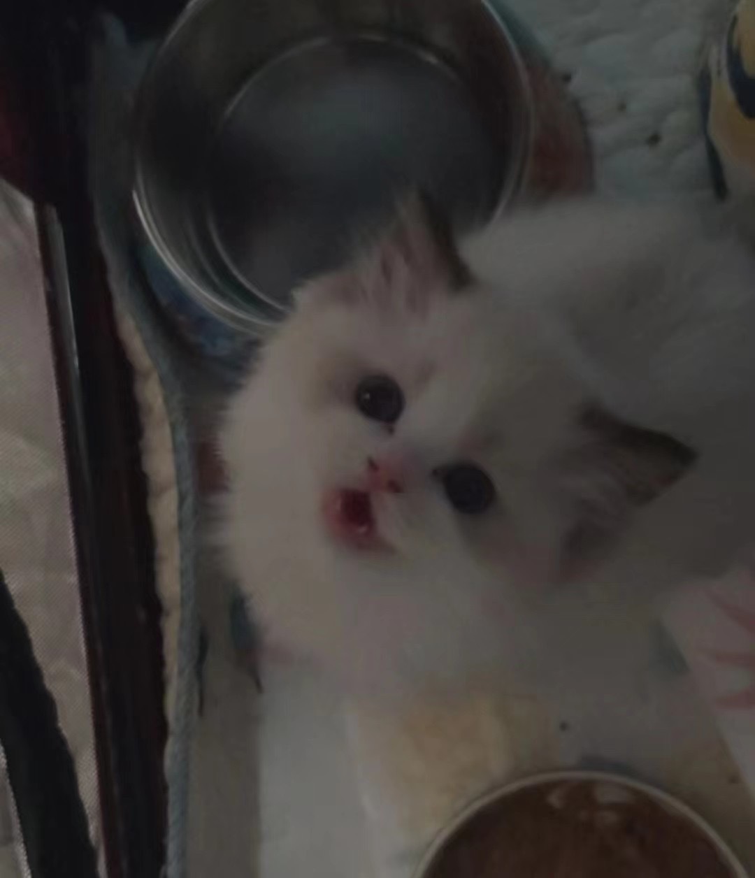 甜过巧克力，就叫好时 ​​​