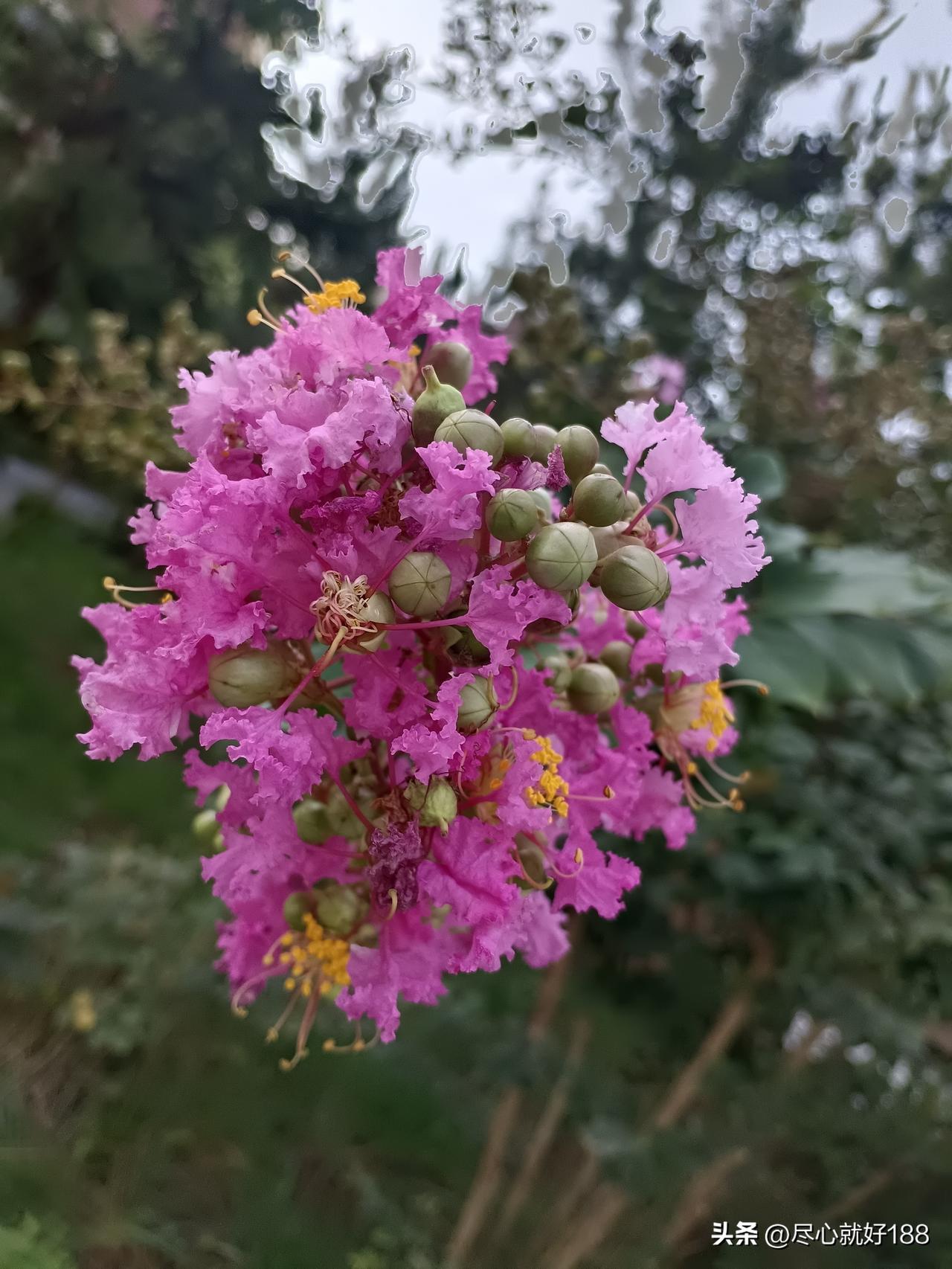 前天推着妈妈溜达的时候，我和妈妈聊起来张雪峰，妈妈说，要是让张雪峰这样的人还活着