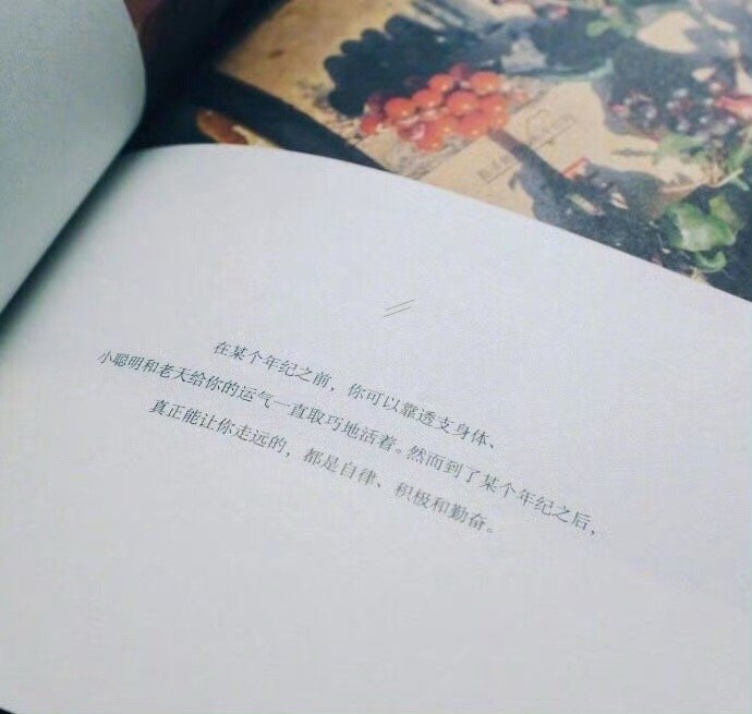 真正能让你走远的，都是自律、积极和勤奋。—— 卢思浩 