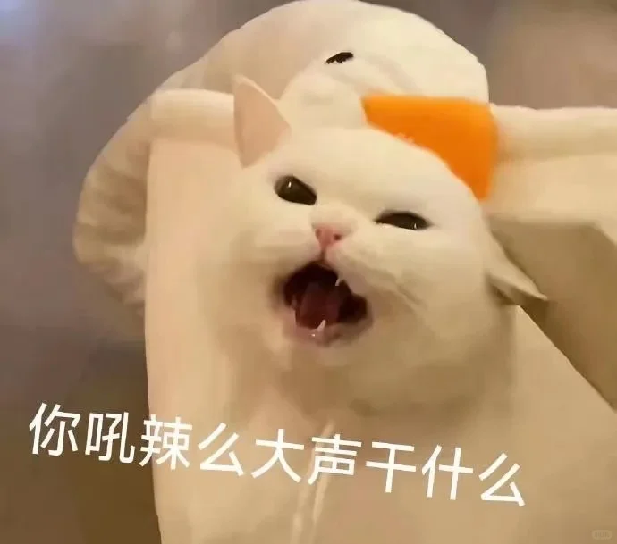 猫咪表情包太可爱了吧