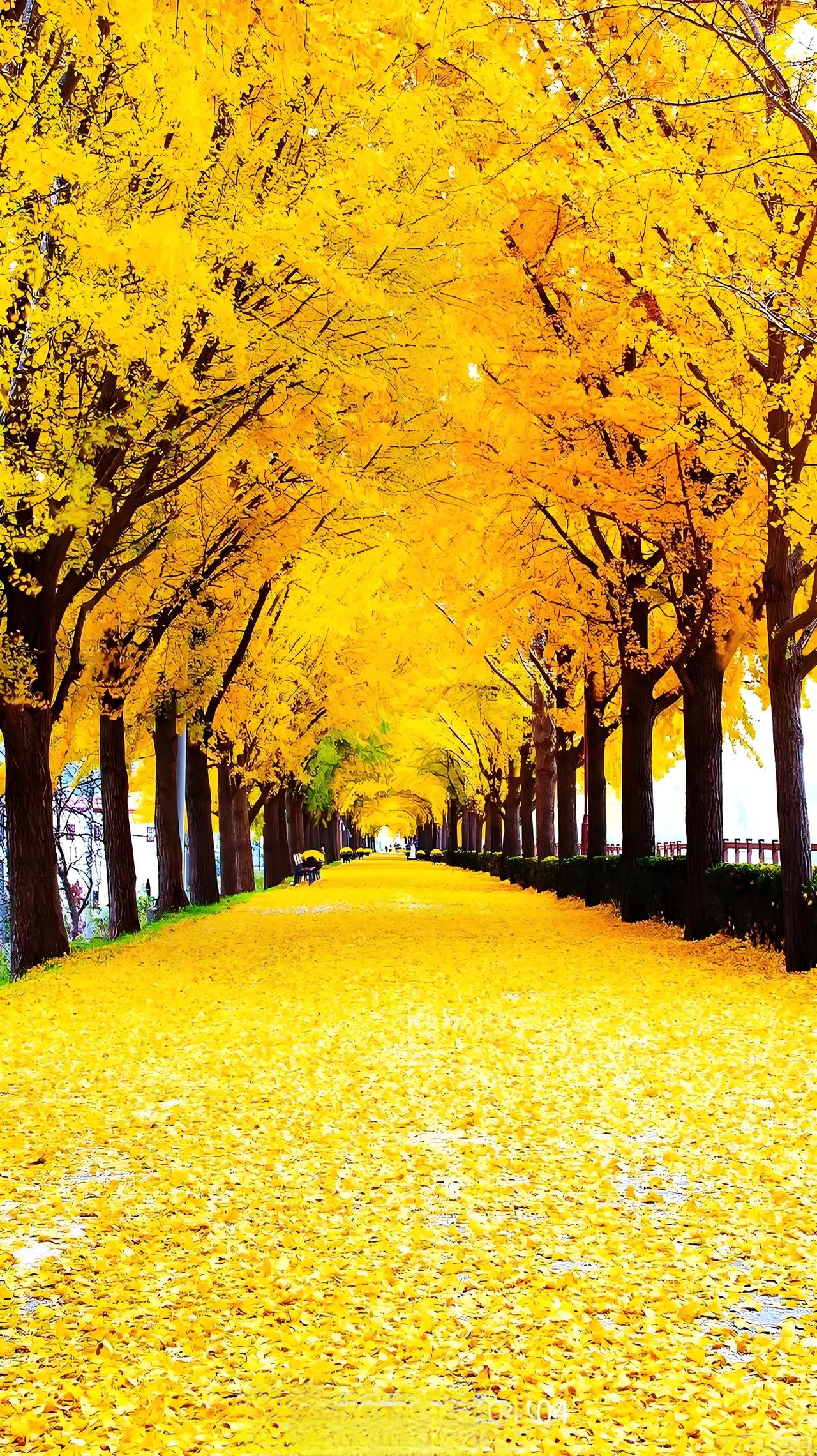 在头条写作，
我不追逐流量，
也不透支隐私。

写自己的事，
不打扰家人。
文字