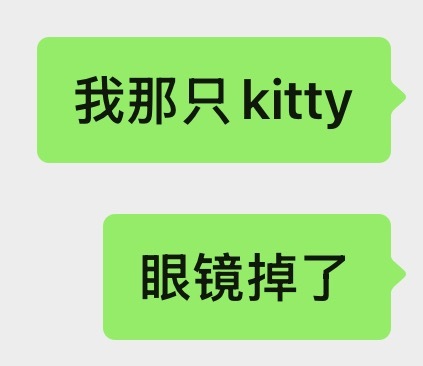 再也不会买kitty。上一只出去玩的时候掉了，这只也是出去玩被碰坏了。kitty