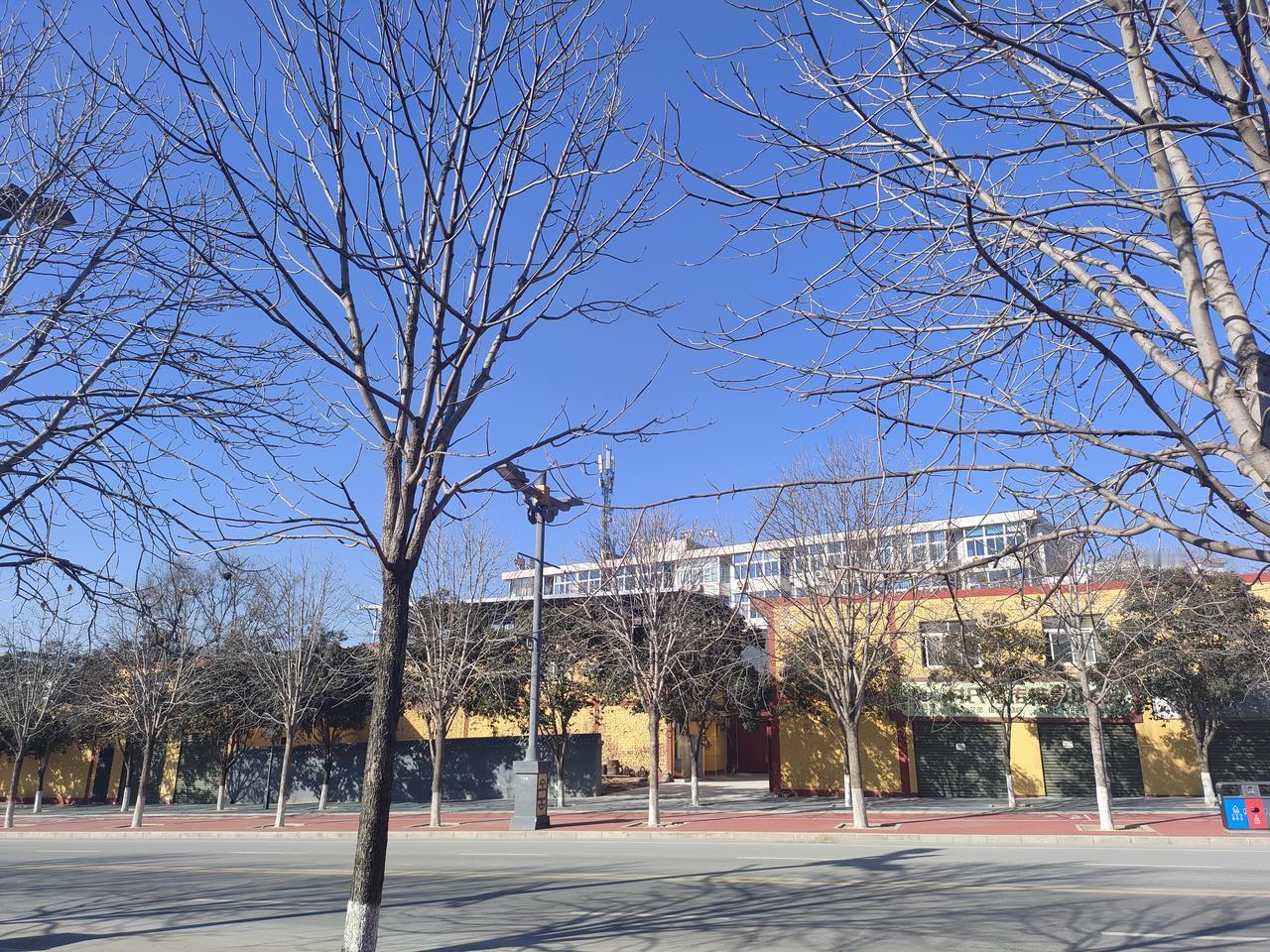 不知道你们身边有没有那种“看着有点傻”的人？就是别人占了他便宜也不恼，遇事总想着