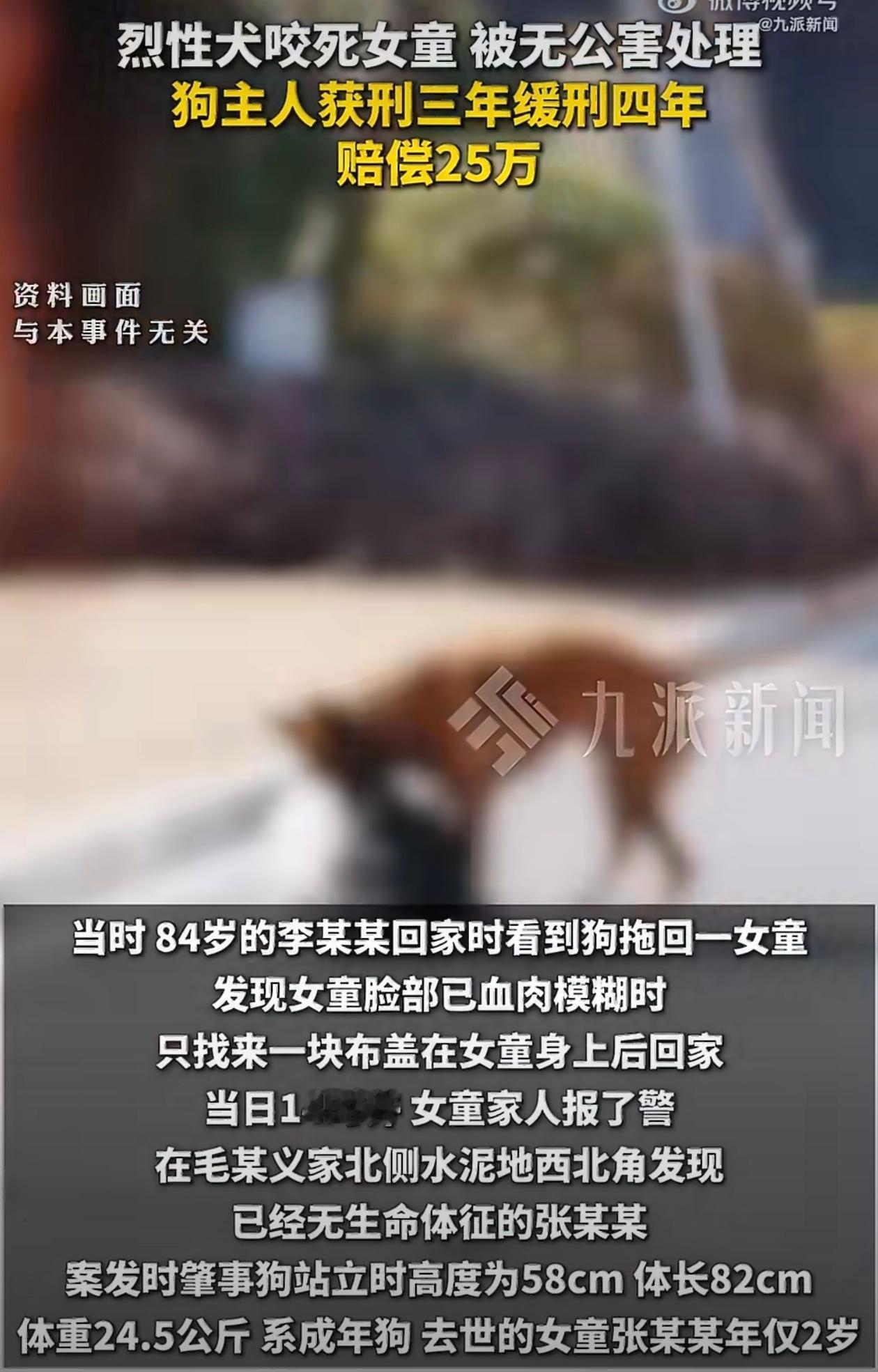 烈性犬咬死2岁女童主人赔25万一个养烈性犬多次挣脱铁链不负责任一个发现狗咬死女孩