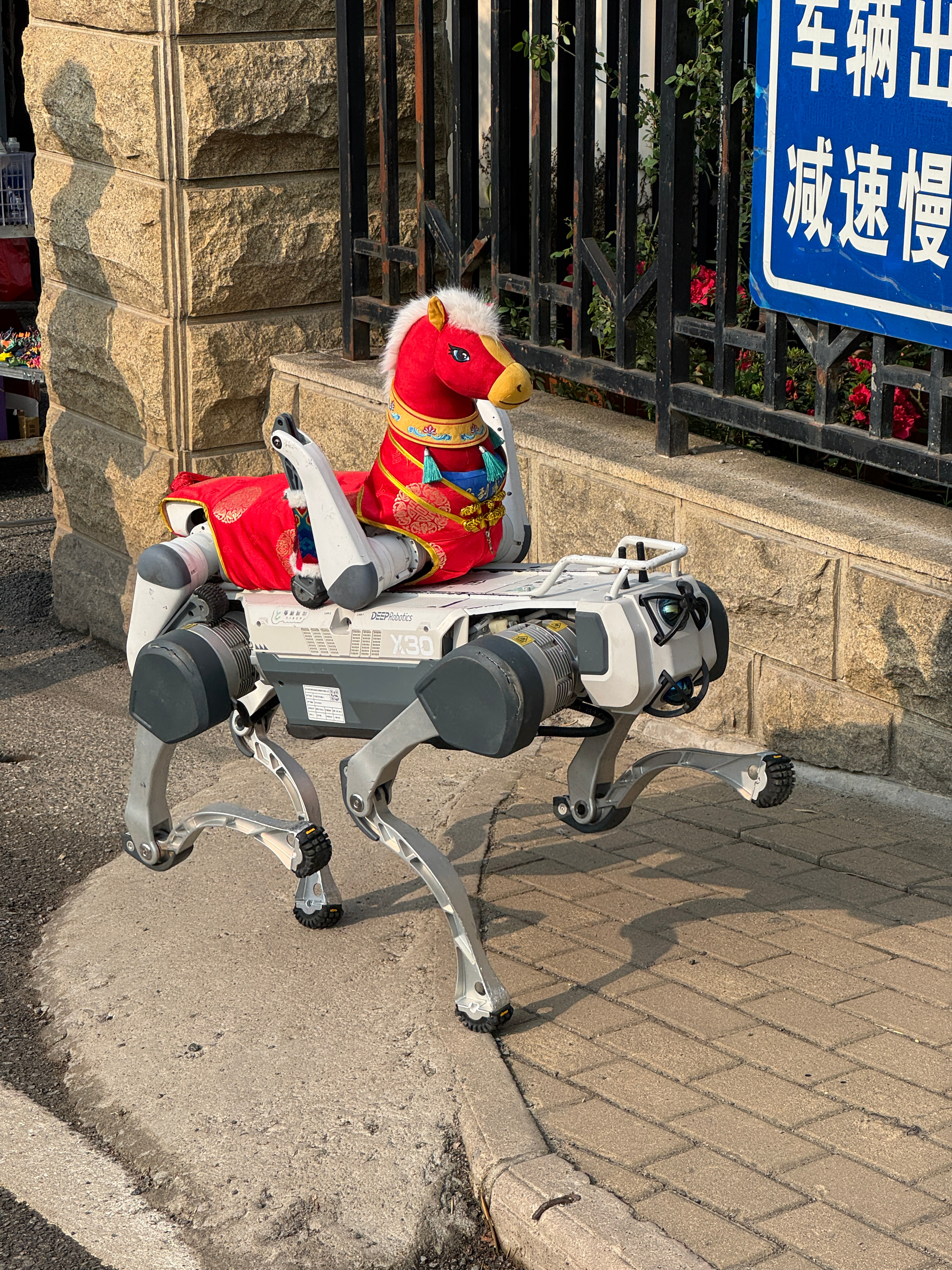 景区偶遇一台四足机器人还有马年元素的装饰衣，很拉风
