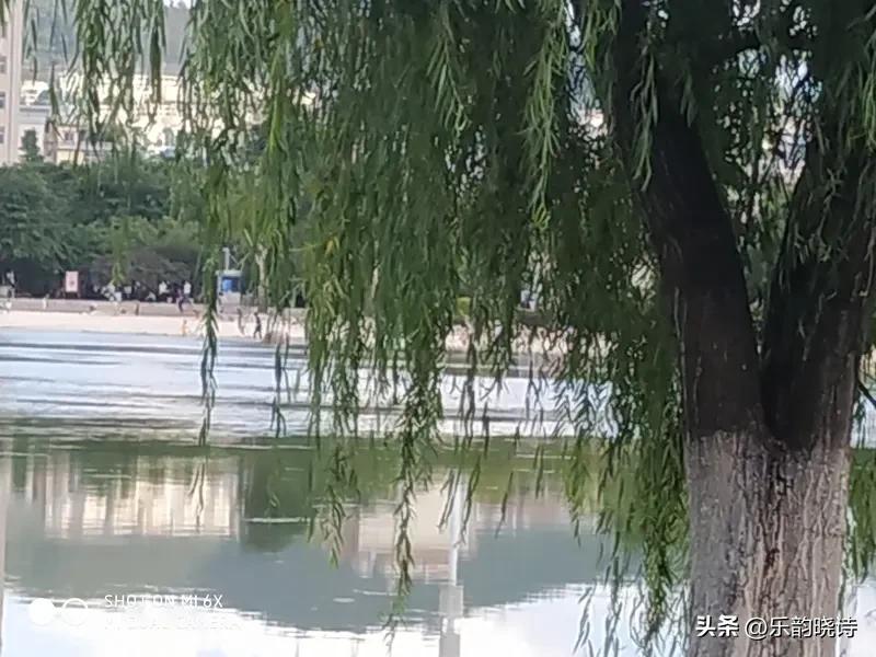 如何用七绝展现出优美的诗意? 想用七绝展现优美诗意，我觉得得从多方面入手。意象选