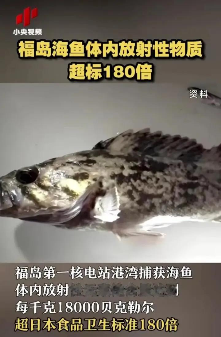 日本核污水来袭!