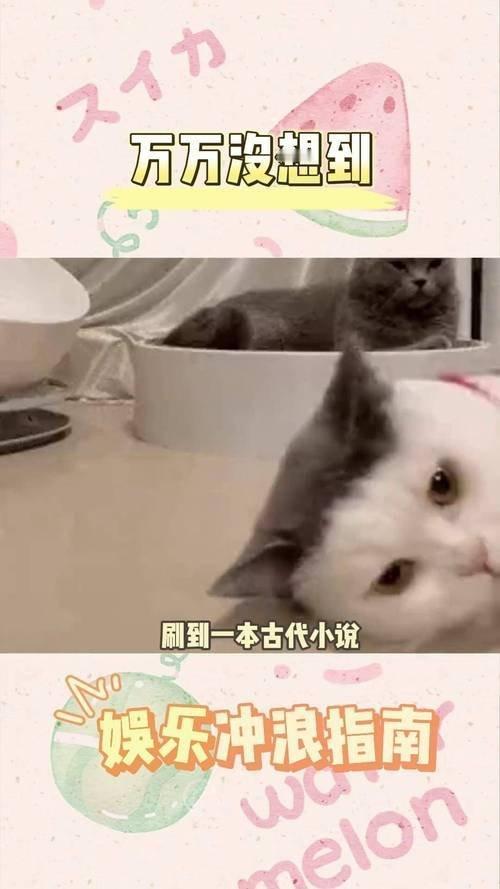 一名女子在公园与公狗玩耍时，万万没想到公狗突然发情，惹来横祸！这可不是什么风流韵