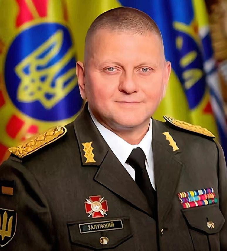 “北溪事件”牵出的关键人物，终于浮出水面！德国方面的调查显示，乌方前高层指挥官扎