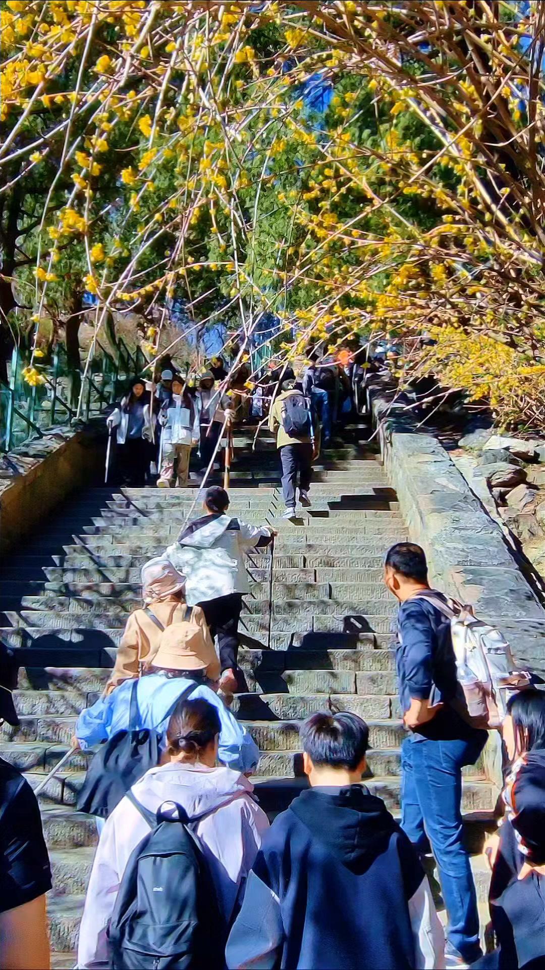 🗻22年前后登泰山，不同的风景与心境
22年前牵着六岁女儿的手爬泰山，记忆中的