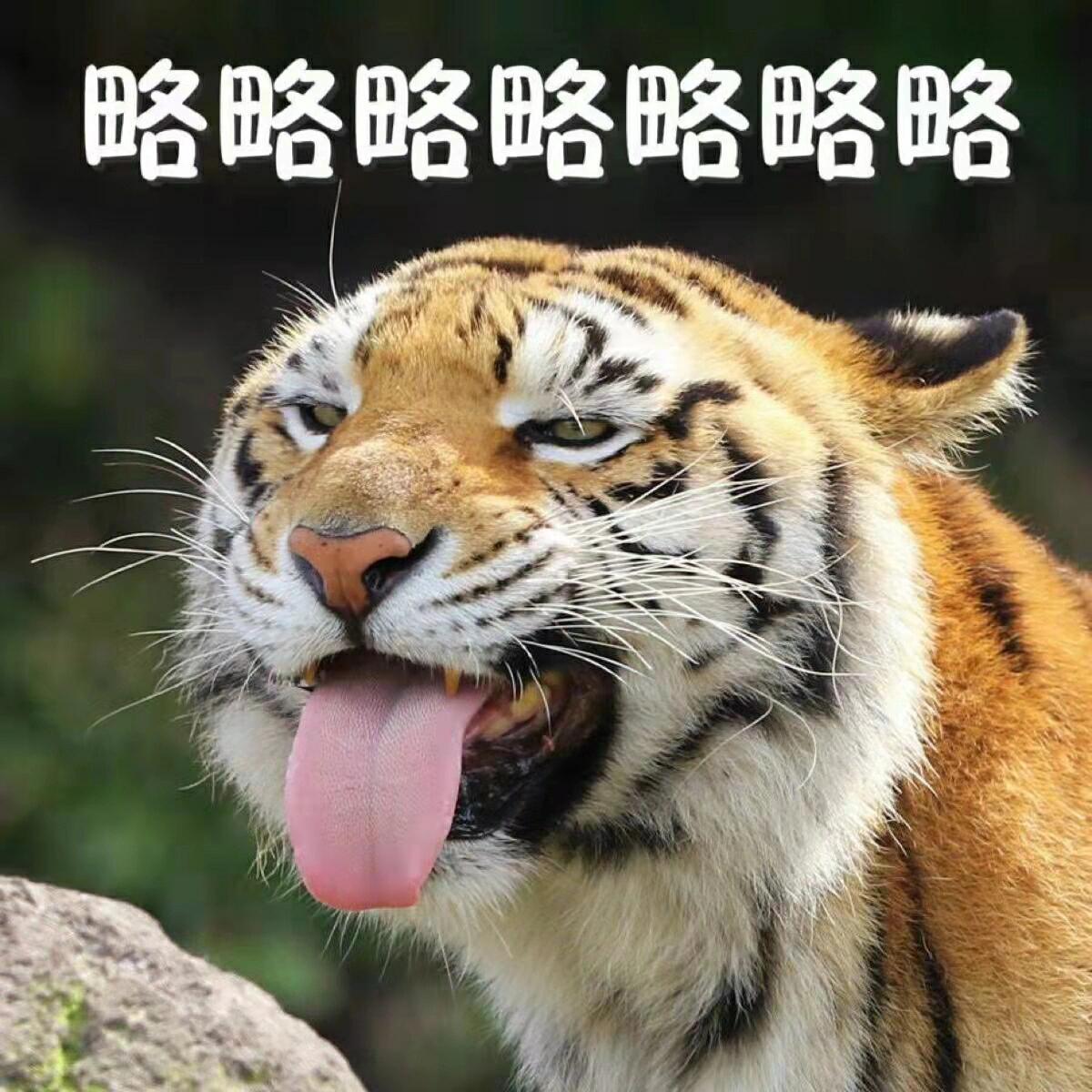 没有喜欢到处显摆经期的癖好！[比耶] ​​​