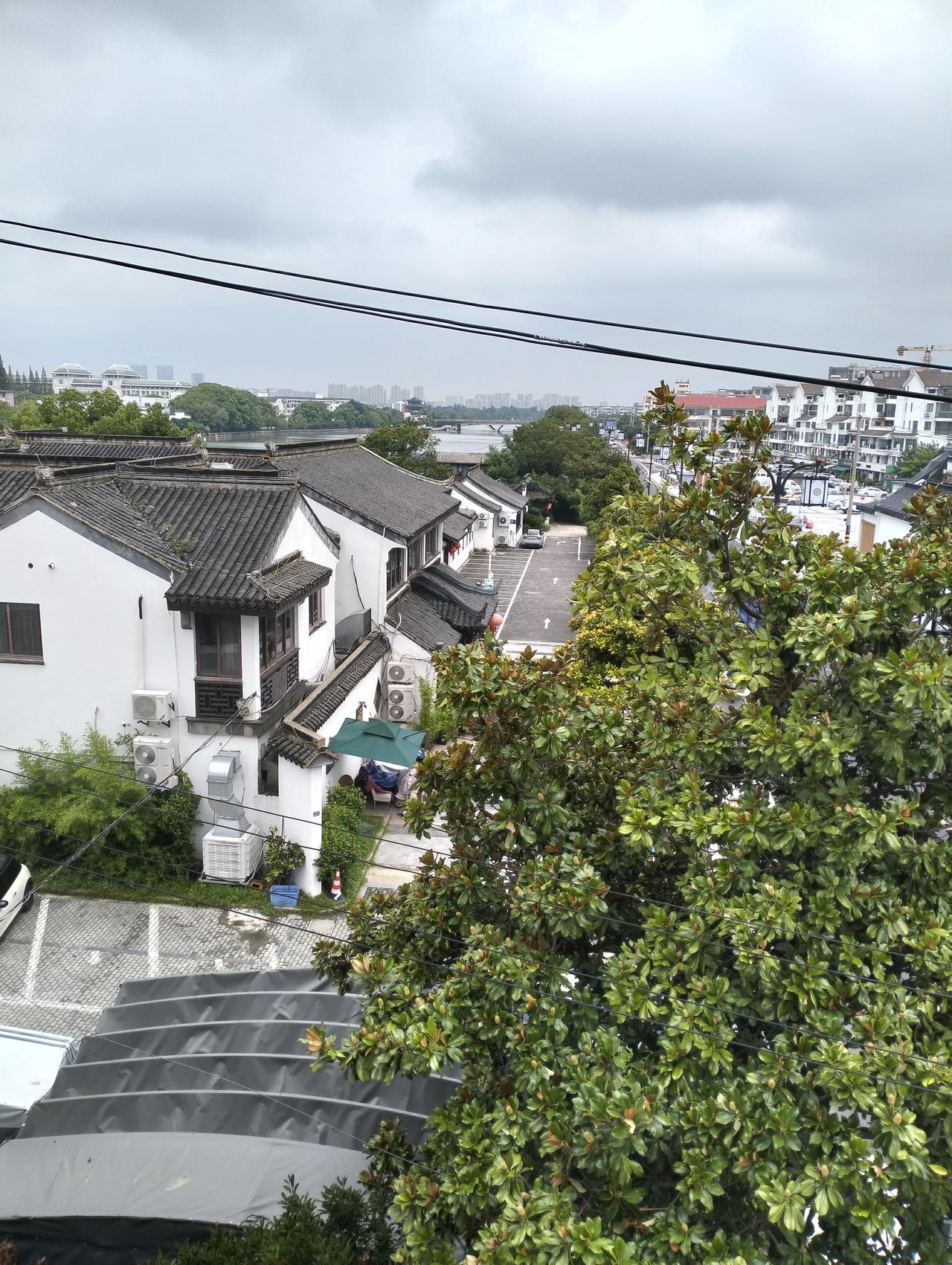 雨淅淅沥沥下了四天，今日总算停歇。
虽说太阳未露脸，可空气不再那么湿闷。一会儿就