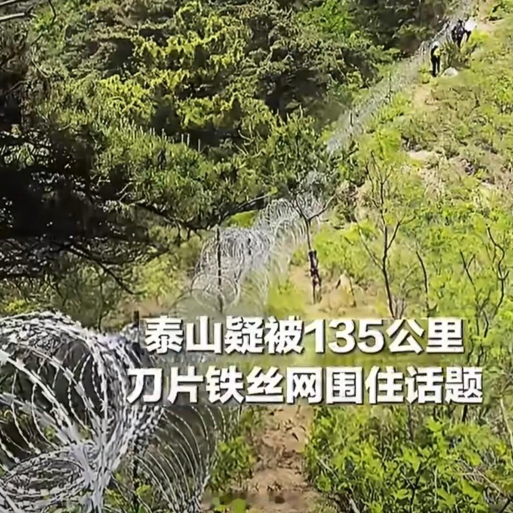泰山景区道歉致歉可以接受，但别把"一围了之"当正常试错。135公里刀片网、耗资两