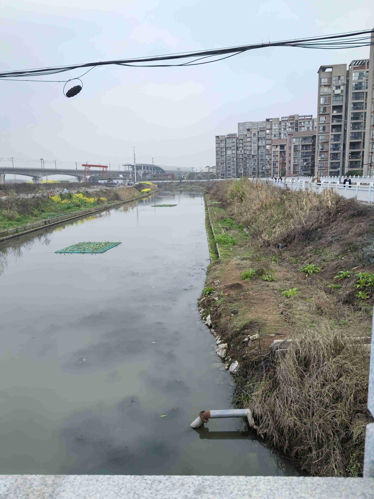 带定位晒今日生活 今天心情超轻松愉快，在鄂州花湖一角感受着晴天的美好。阳光洒在身