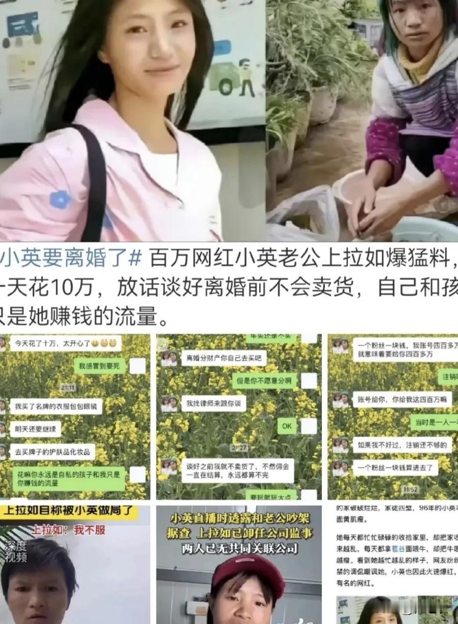 我甚至怀疑上拉如晒出来的聊天记录都是伪造的，因为我如果用小英头像我就是小英嘛？