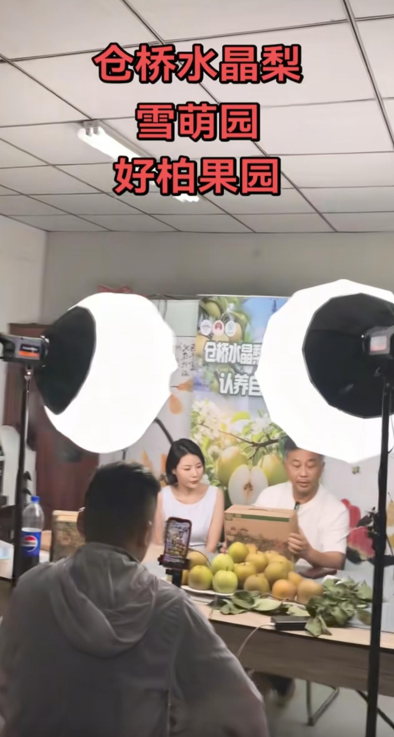 沈巍直播卖梨十分卖力，顶着炎炎烈日，戴着草帽走进梨园实地考察。考察归来，他坐在直
