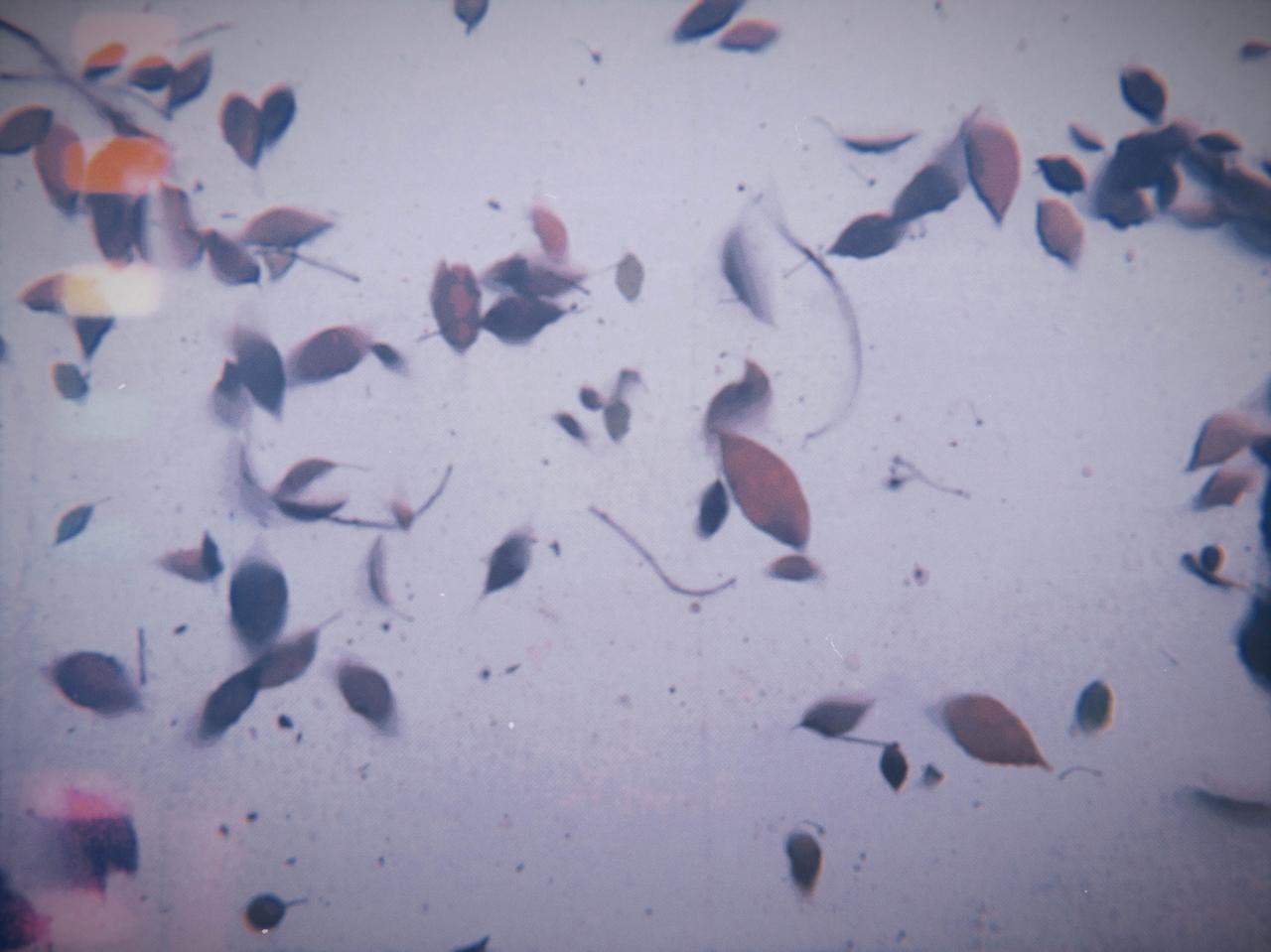 情绪稳定的本质：不是压住情绪，而是拿回反应权