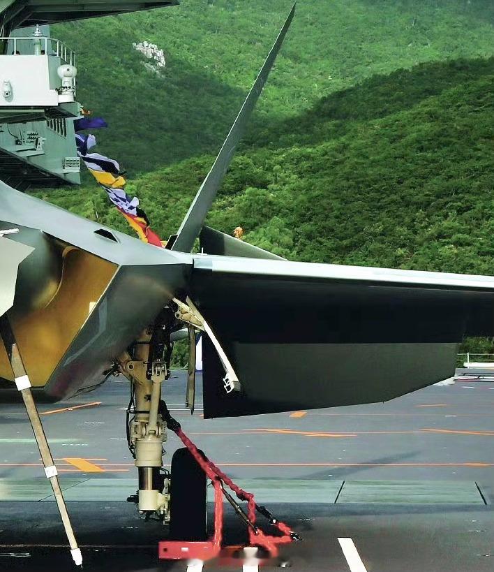 J-35平尾前缘的小切角，这不是为了优化隐身，而是让平尾向下打最大角度时，翘起的