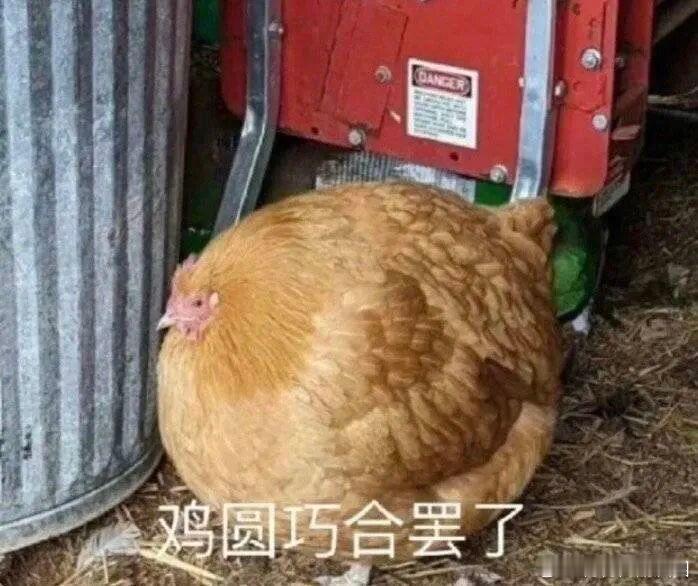 这届年轻人有自己的中秋仪式感 谁没在中秋这天拍过月亮啊！朋友专门找了顶楼露台，用