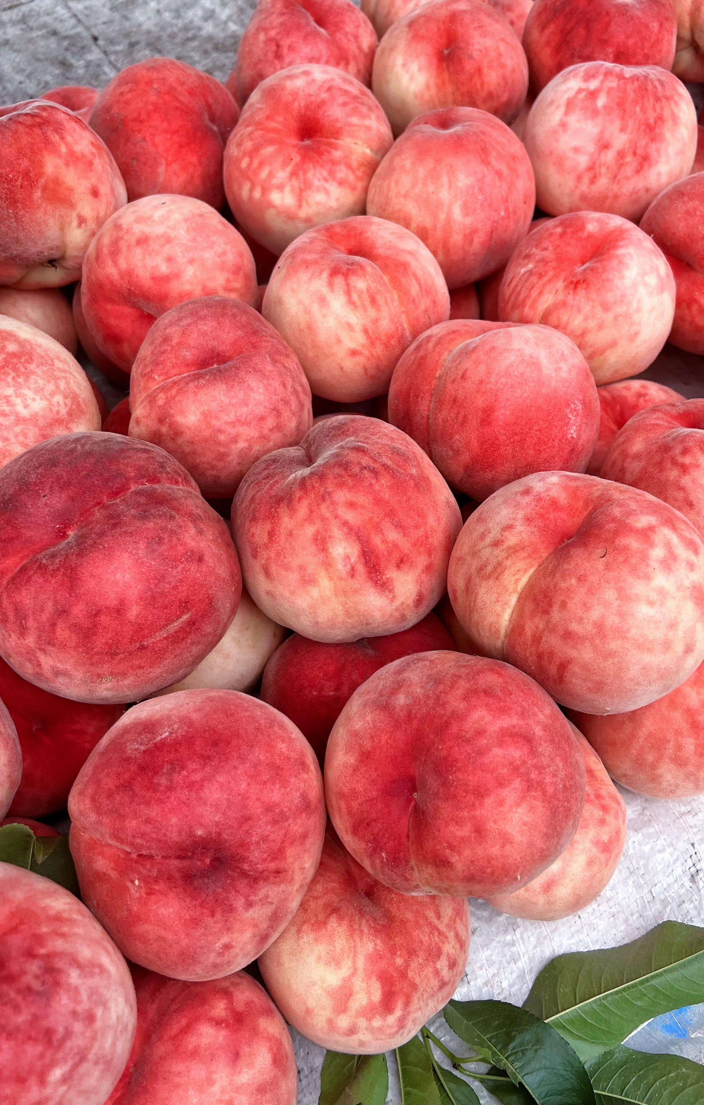 好吃点的桃子还挺贵，3.5元一斤。🍑 