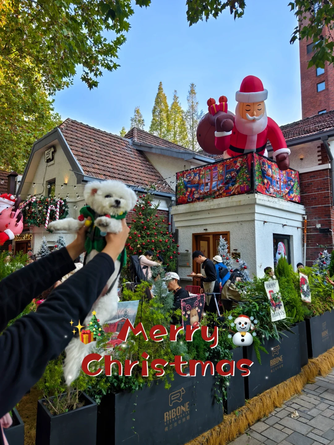RiboneCafe|室内室外，圣诞氛围拉满