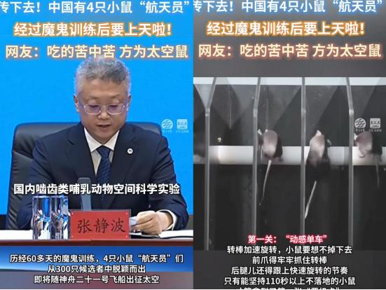 这下出名了，不仅中国，连全世界都知道了，除了三名航天员飞上太空，另外还有四只可爱