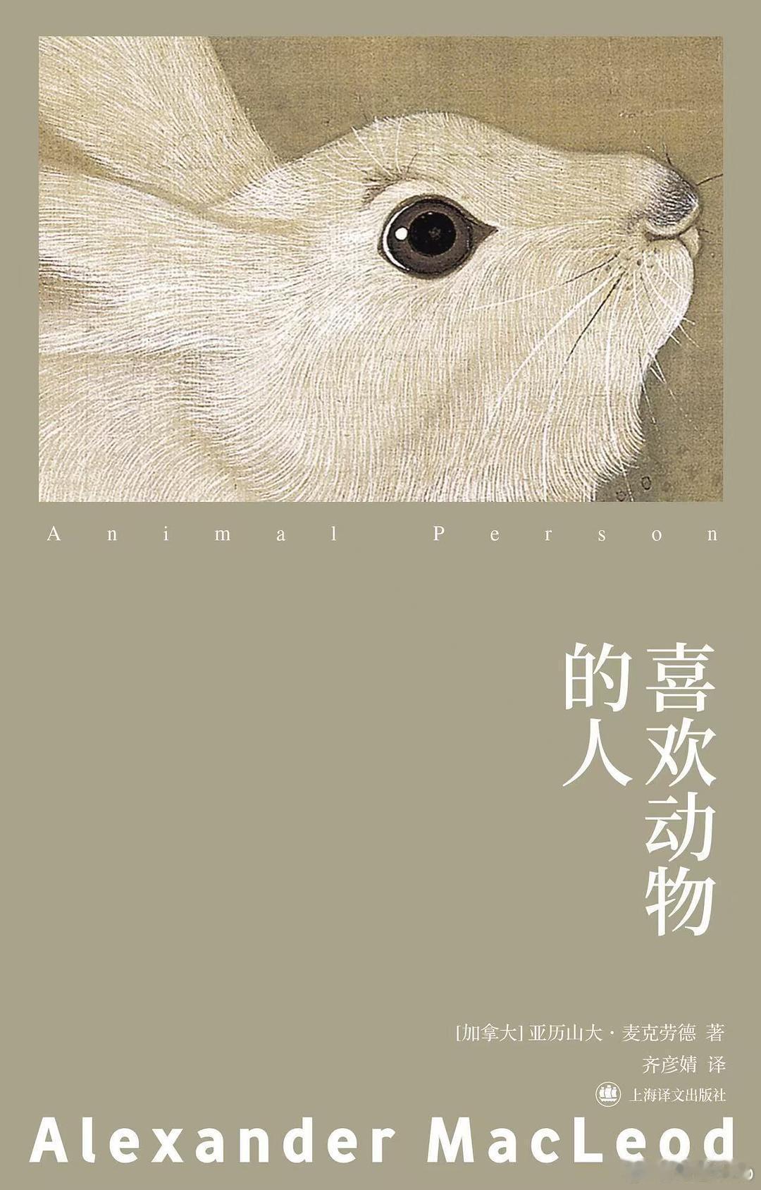 文学汇 书摘丨《兔形目动物》有些晚上，当兔子跟我一起伏在地上用它的胡萝卜玩具拔河